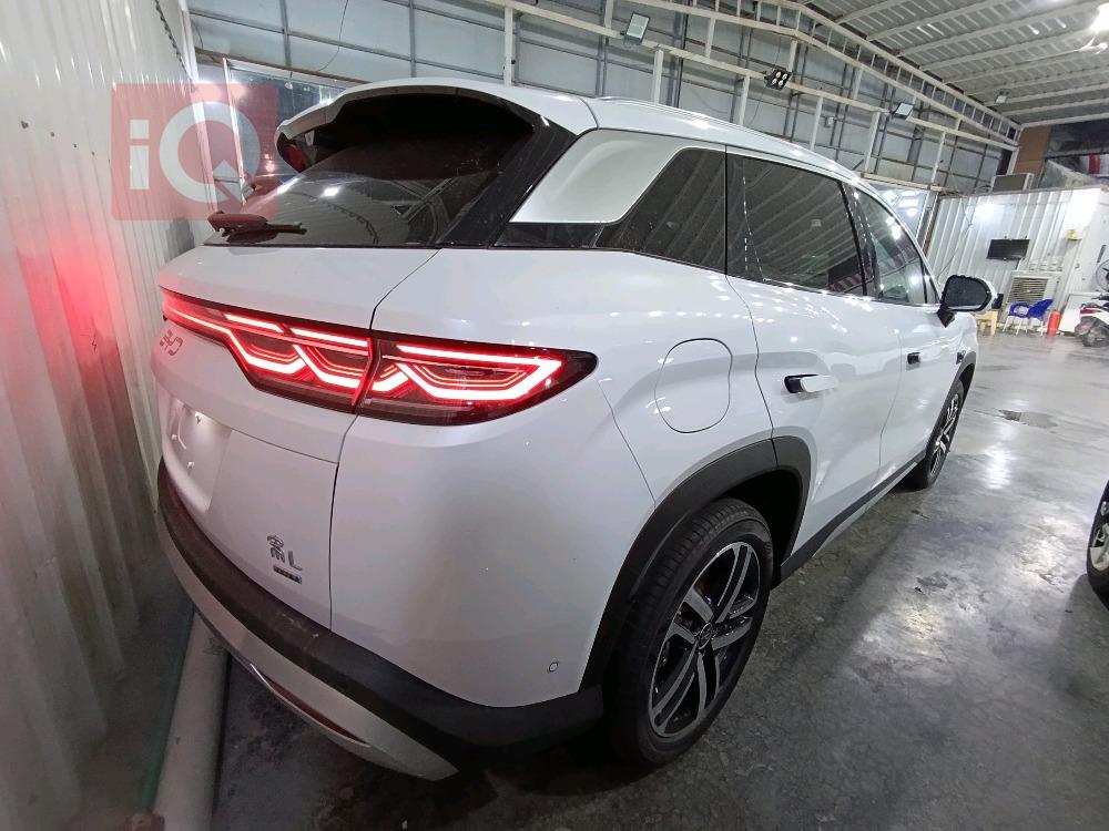 بي واي دي كوين L DM-i